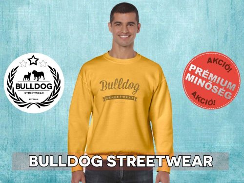 Bulldog Streetwear Férfi környakas pulóver - BSW Vintage logó mintával Több színben