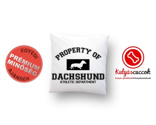 Tacskós párna - Tacskó díszpárna Property of dachshund 40x40cm
