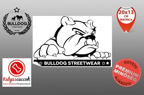 Autós Angol Bulldog Matrica - Bulldog Streetwear Angol Bulldog Minta  Több méretben