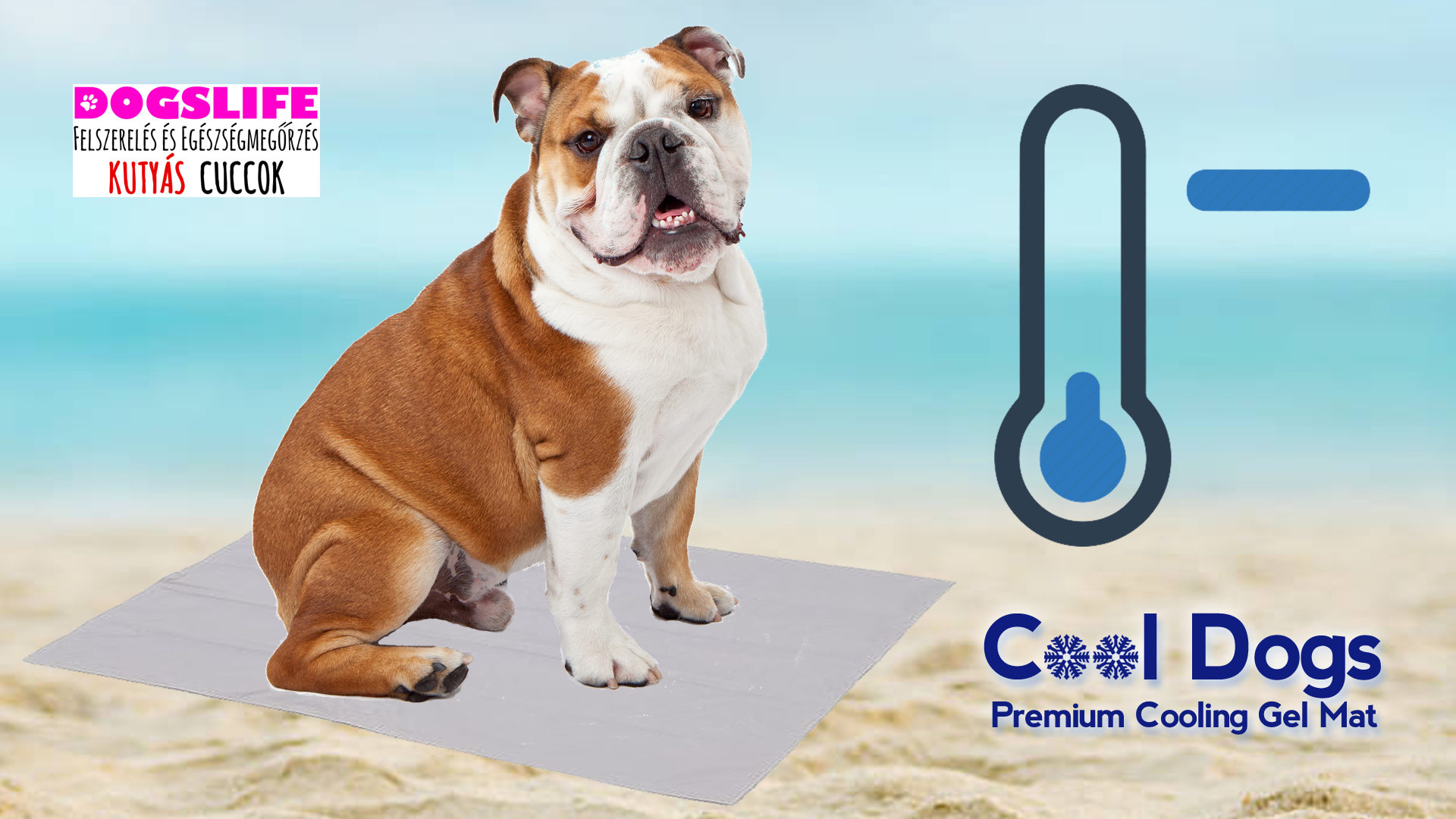 Cool Dogs Premium Cooling Gel Mat