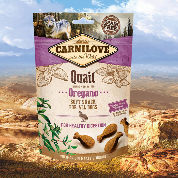 Kutyás Cuccok/Dogs Life Kutya Felszerelés és Egészségmegőrzés, Kutyás Ajándékok