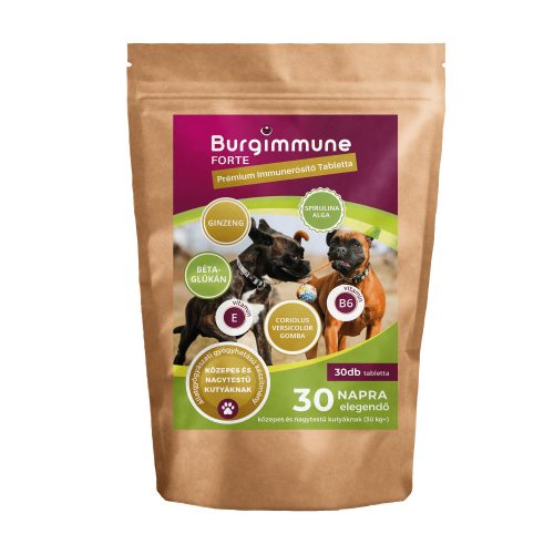 Burgimmune FORTE Prémium Immunerősítő Tabletta - 30 db-os RAKTÁRON