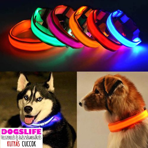 Dogs Life Lightning Collar Világító Nyakörv L méret 36-50cm Villogó Nyakörv állítható több színben RAKTÁRRÓL!
