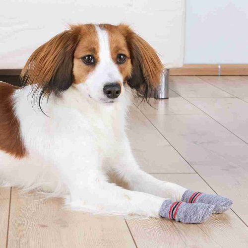 Trixie Kutyazokni Csúszásgátló talppal XS-S Szürke - Otthoni viselet sérült és idős kutyáknak
