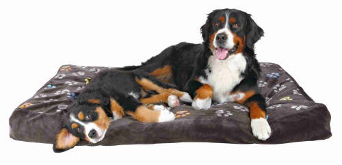 Trixie Jimmy Bed - négyszögletes fekhely kutyák részére 100x70cm