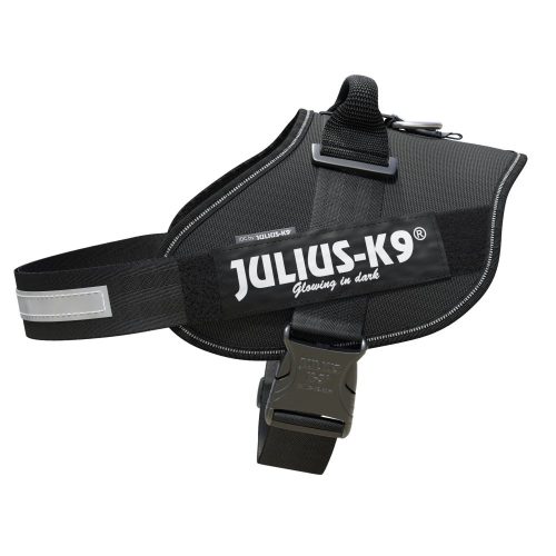 JULIUS-K9 IDC® Powerhám Fekete színben több méretben