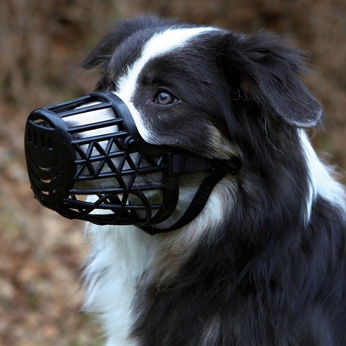 Trixie műanyag szájkosár L-XL - 36cm Fekete színű szájkosár kutyáknak - Puha műanyagból készült állítható szalaggal