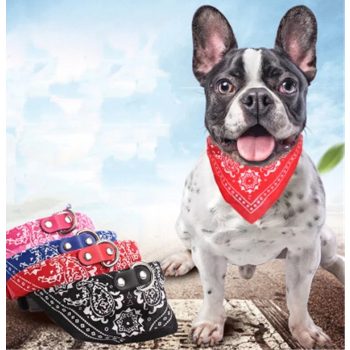   Gloria Kendős nyakörv több színben bőrhatású nyakörvvel