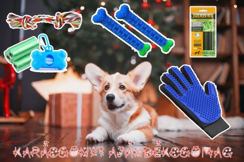 Karácsonyi Ajándékcsomag 4. - ChewBrush Stick + Ötujjas szőrápoló kesztyű  + Trixie Kötéljáték + Julius-K9 Dental Sticks + Kakizacsi + Tartó