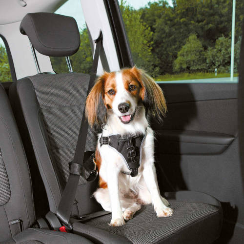 Trixie Car Harness Comfort - biztonsági hám autóba -fekete - (M) kutyák részére (50-65cm/20mm) - Autóban való utazáshoz biztonságos rögzítés