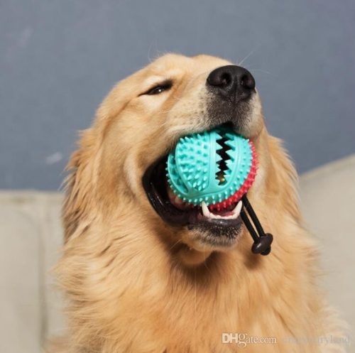 Multifunkciós Fogtisztítós Készségfejlesztő játék tapadókoronggal kutyáknak 