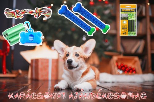 Karácsonyi Ajándékcsomag 1. - ChewBrush Stick + Trixie Kötéljáték + Julius-K9 Dental Sticks + Kakizacsi + Tartó