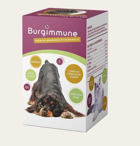 Burgimmune Prémium Immunerősítő Kombináció por - 90 napra elegendő RAKTÁRON