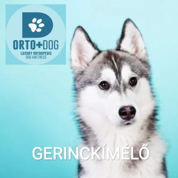 Orto Dog - Kutya Gyógymatrac