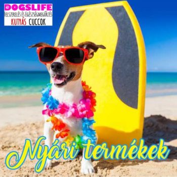 Nyári Termékek